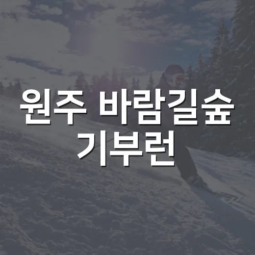원주 바람길숲 기부런, 희망의 바람을 달리다