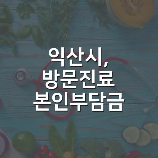 익산시, 방문진료 본인부담금 최대 77% 지원 확대
