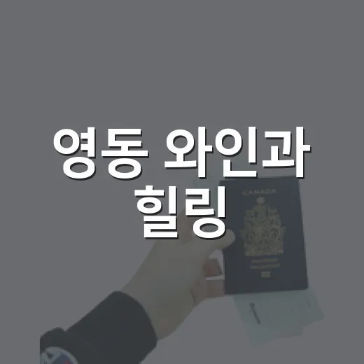 영동 와인과 힐링, 가족 하루 코스