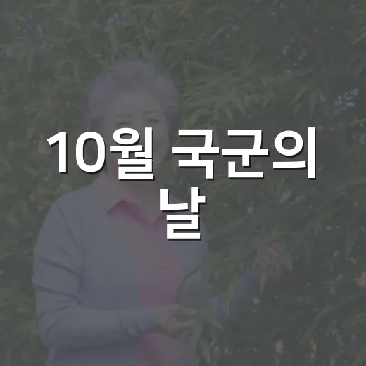 10월 국군의 날·개천절·한글날 태극기 달기