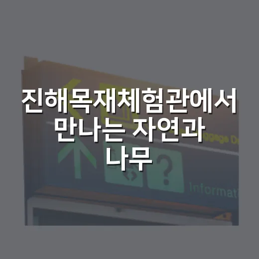 진해목재체험관에서 만나는 자연과 나무의 즐거움