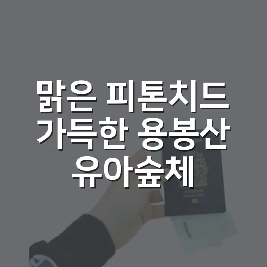 맑은 피톤치드 가득한 용봉산 유아숲체험관과 내포사색길
