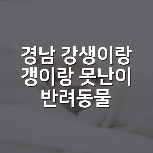 경남 ‘강생이랑 갱이랑’ 못난이 반려동물 사진전 온라인 투표 시작