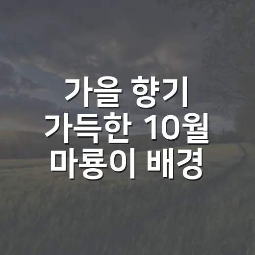 가을 향기 가득한 10월 마룡이 배경화면