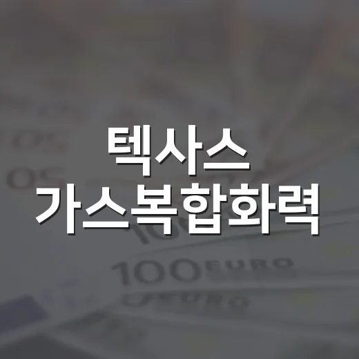 텍사스 가스복합화력, 한미 전략투자 1호 사업