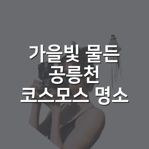 가을빛 물든 공릉천 코스모스 명소