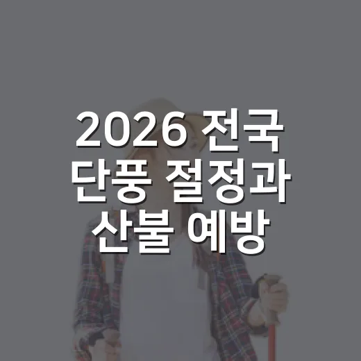 2026 전국 단풍 절정과 산불 예방