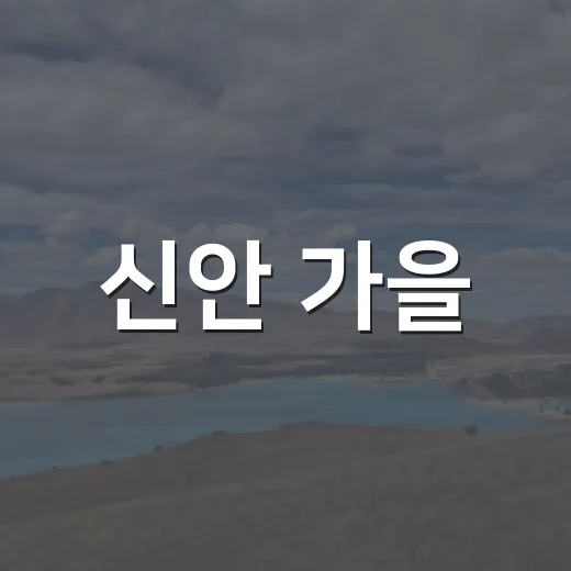 신안 가을, 소식지로 만나다