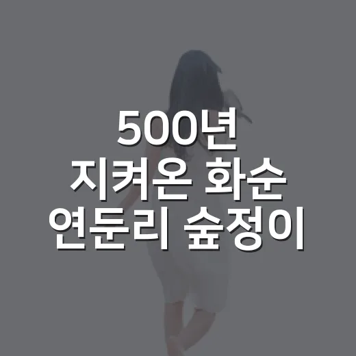 500년 지켜온 화순 연둔리 숲정이