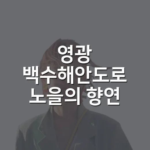 영광 백수해안도로 노을의 향연