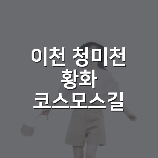 이천 청미천 황화 코스모스길 가을 풍경