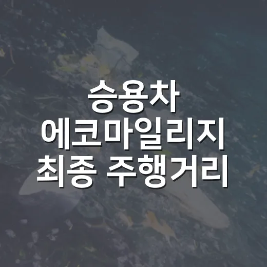 승용차 에코마일리지 최종 주행거리 등록하세요