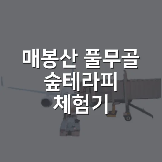 매봉산 풀무골 숲테라피 체험기
