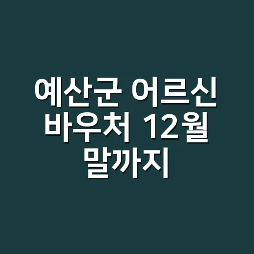 예산군 어르신 바우처 12월 말까지 사용하세요