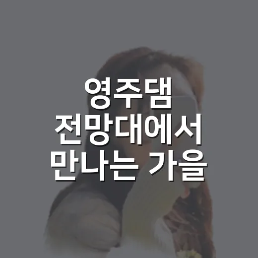 영주댐 전망대에서 만나는 가을 풍경