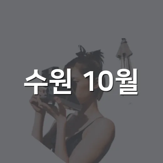 수원 10월, 가을 축제 총집합