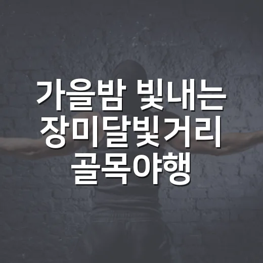 가을밤 빛내는 장미달빛거리 골목야행