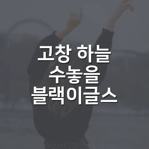 고창 하늘 수놓을 블랙이글스 에어쇼