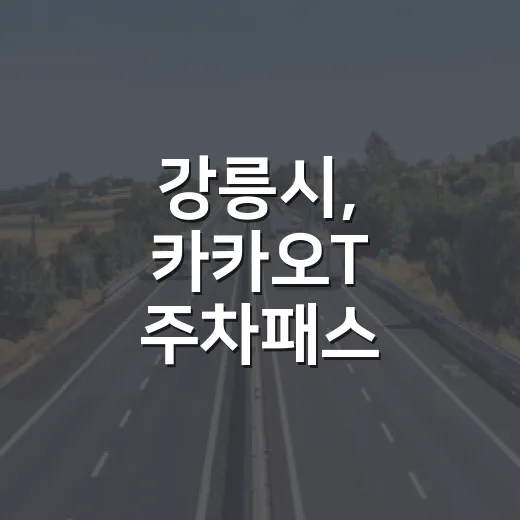 강릉시, 카카오T 주차패스 도입으로 스마트 주차 혁신
