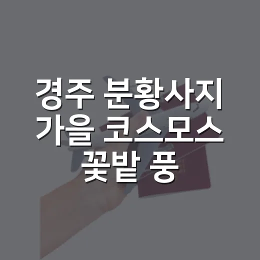 경주 분황사지 가을 코스모스 꽃밭 풍경