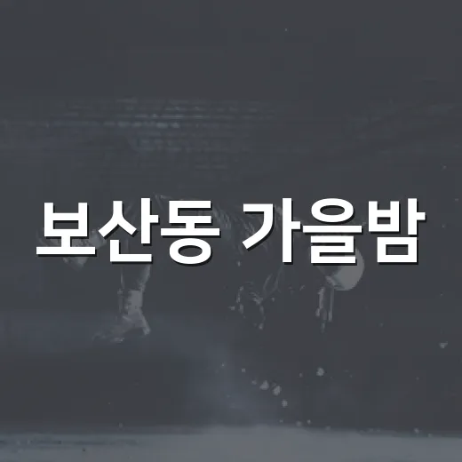 보산동 가을밤, 음악과 춤의 축제