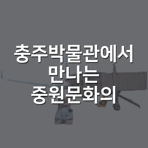 충주박물관에서 만나는 중원문화의 숨결