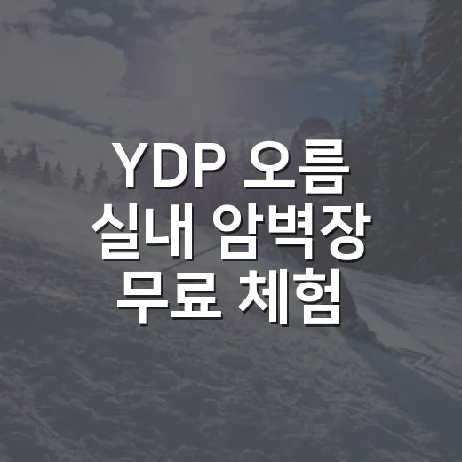 YDP 오름 실내 암벽장 무료 체험 재개장 소식