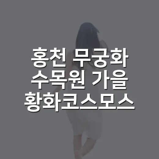 홍천 무궁화 수목원 가을 황화코스모스 만개