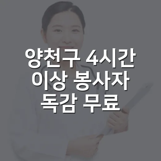 양천구 4시간 이상 봉사자 독감 무료접종 확대