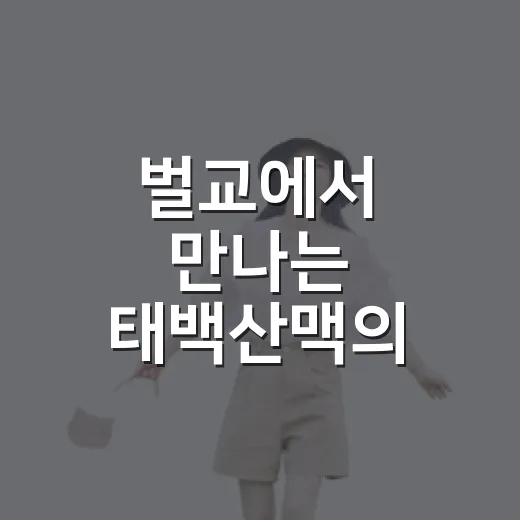 벌교에서 만나는 태백산맥의 숨결