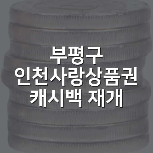 부평구 인천사랑상품권 캐시백 재개 소식