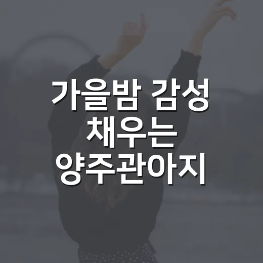 가을밤 감성 채우는 양주관아지 밤마실