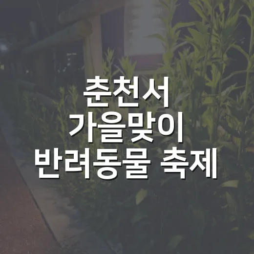 춘천서 가을맞이 반려동물 축제 열린다