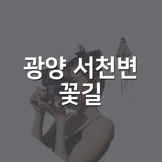 광양 서천변 꽃길, 가을 정취 가득한 산책 명소