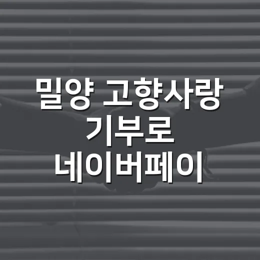 밀양 고향사랑 기부로 네이버페이 혜택