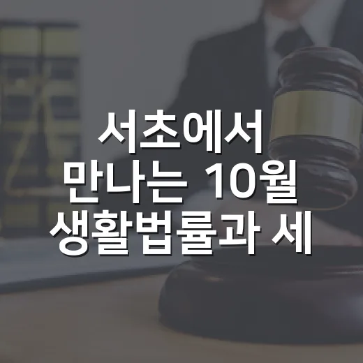 서초에서 만나는 10월 생활법률과 세무상담