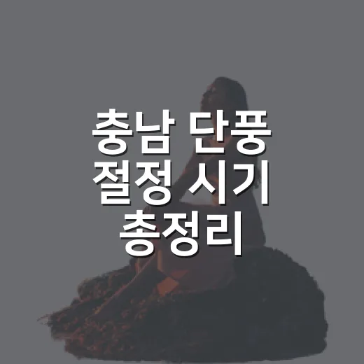 충남 단풍 절정 시기 총정리