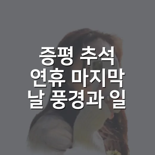 증평 추석 연휴 마지막 날 풍경과 일상 회복