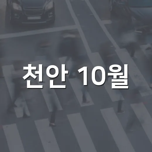 천안 10월, 풍성한 가을 소식 총정리