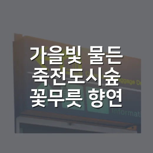 가을빛 물든 죽전도시숲 꽃무릇 향연