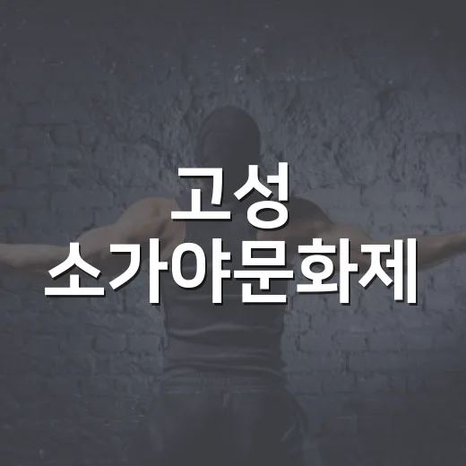 고성 소가야문화제, 역사와 축제의 향연