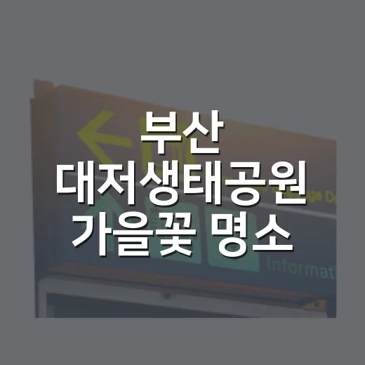 부산 대저생태공원 가을꽃 명소 집중 탐방