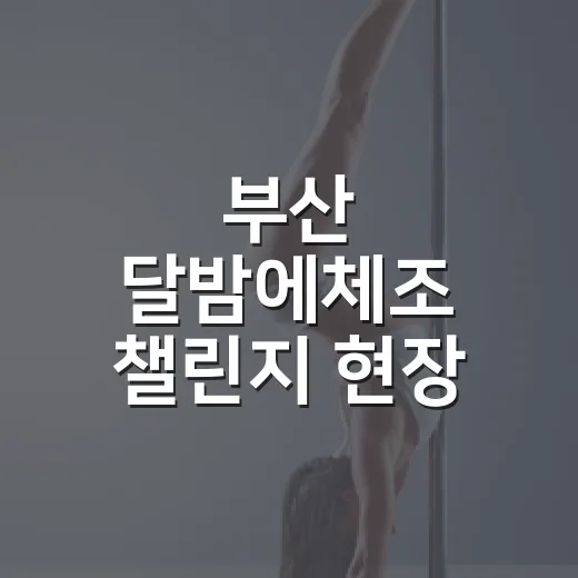 부산 달밤에체조 챌린지 현장 총정리