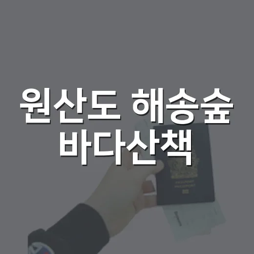 원산도 해송숲 바다산책