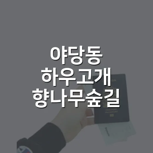 야당동 하우고개 향나무숲길 산책기