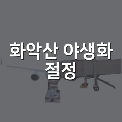 화악산 야생화 절정