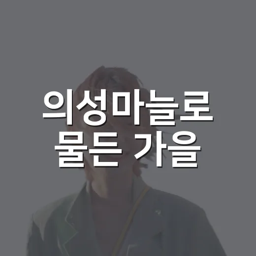 의성마늘로 물든 가을