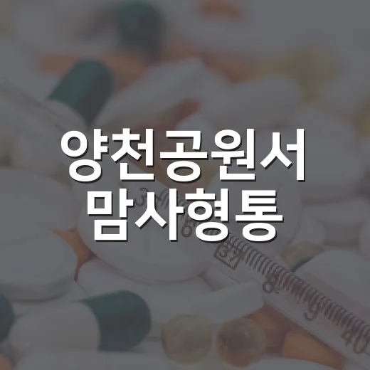양천공원서 맘사형통