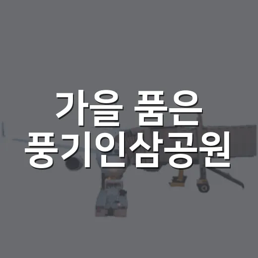 가을 품은 풍기인삼공원