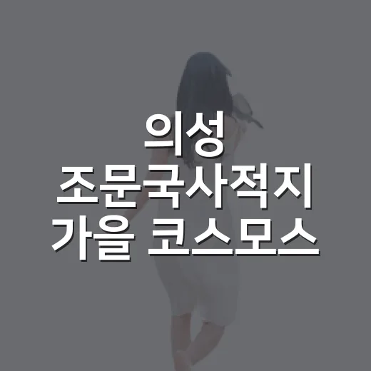 의성 조문국사적지 가을 코스모스 산책